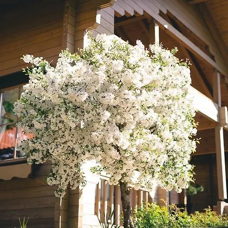 Leitenhof 4 Sterne Superior 4* Scheffau am Wilden Kaiser