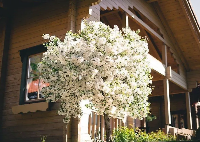 Leitenhof 4 Sterne Superior 4* Scheffau am Wilden Kaiser